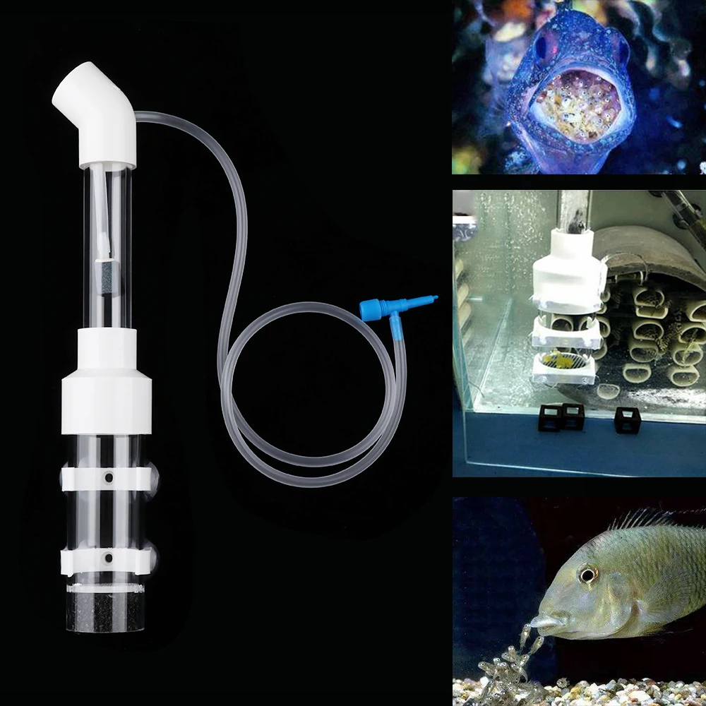 

Useful Aquarium Cichlids Tumbler Fish Incubator Hatchery Egg Instead Mouth-Brooding Nursery Breeding Tanks