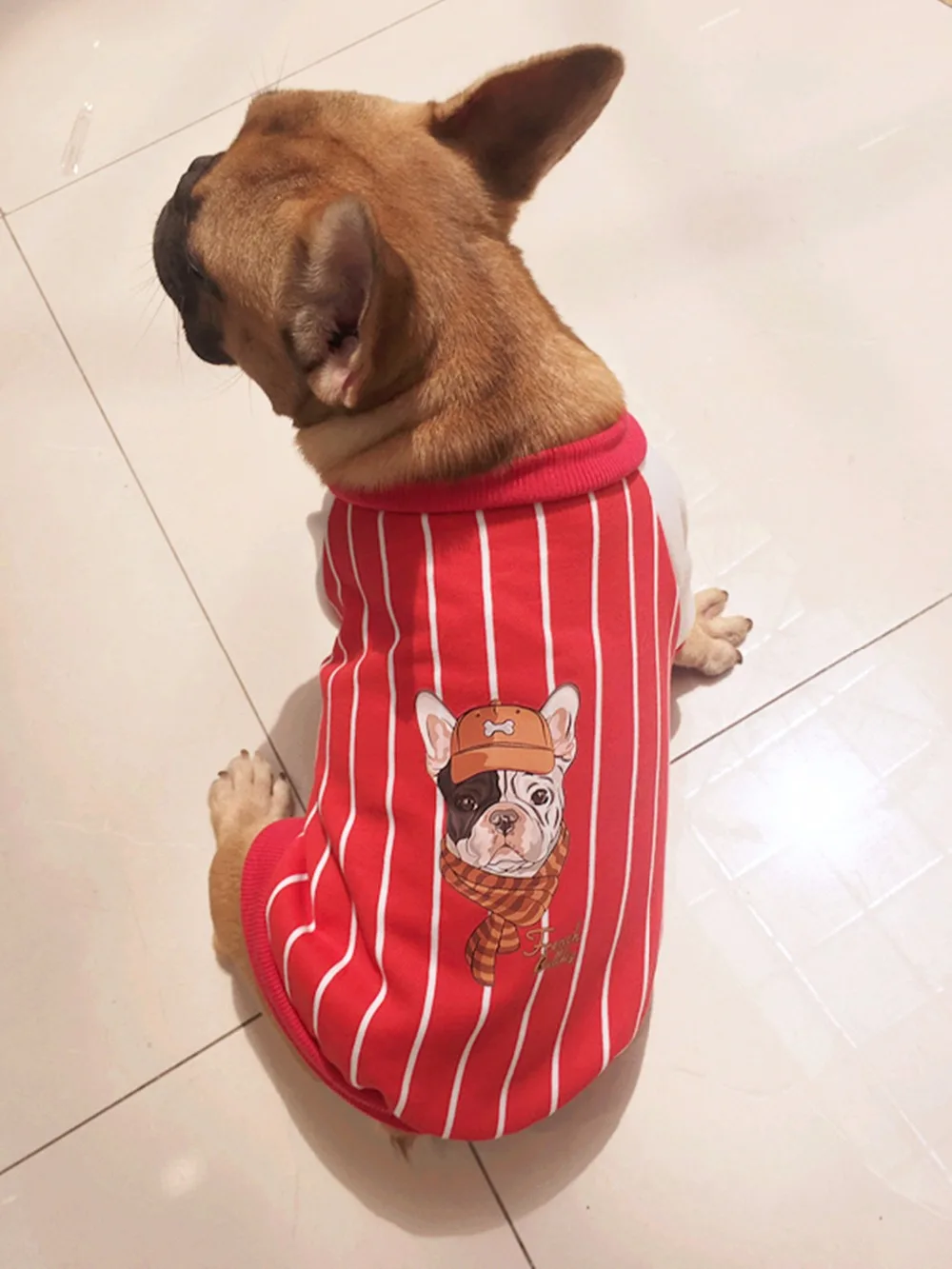Y5_Fashion_Striped_Bulldog_Hoodies_Coat_Baseball_Style_Autumn_Pet_Dog_Clothes_For_Bulldog_Two_legs_Clothing_Apparel_ (12)
