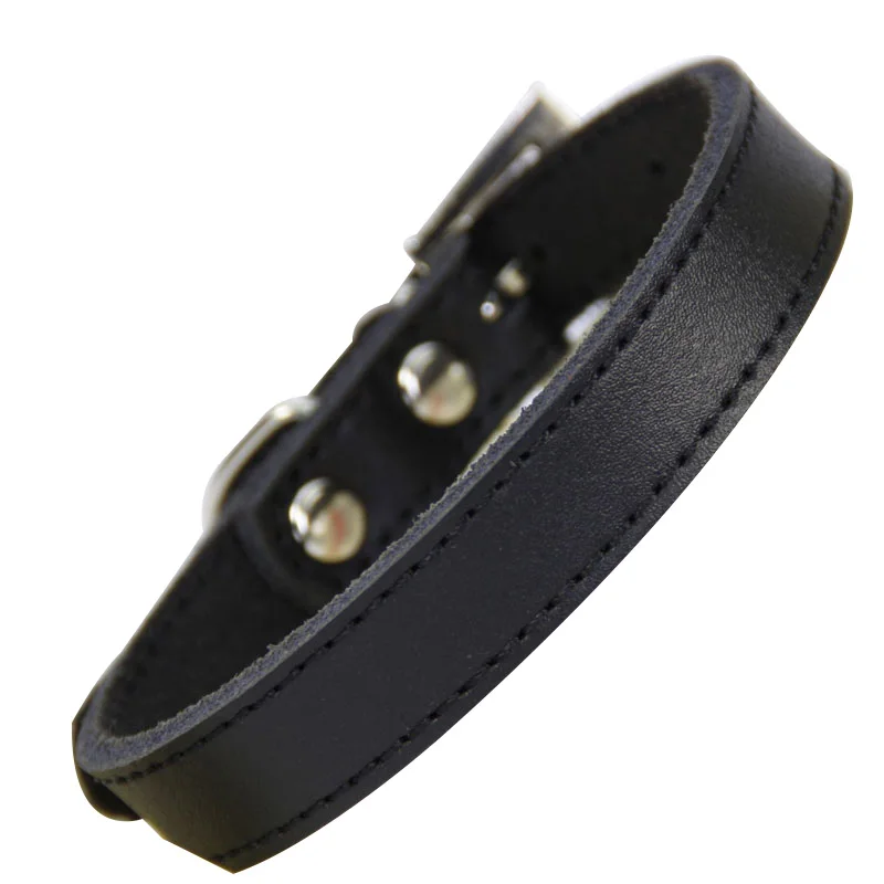 black dog collar