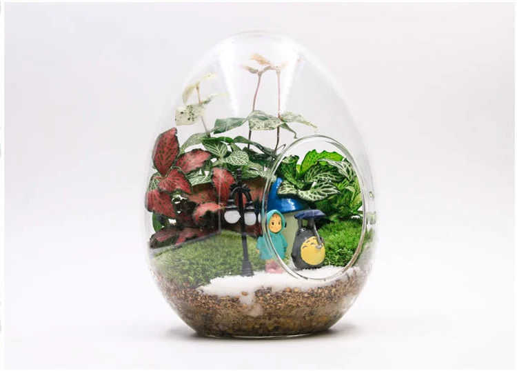 1 шт. креативные стеклянные бутылки в форме яйца стеклянная ваза гидропонная мясистая микро-ландшафтное стекло бутылка мох украшение дома