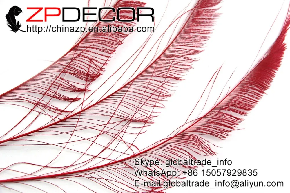 Red peacock swords feathers  (1)