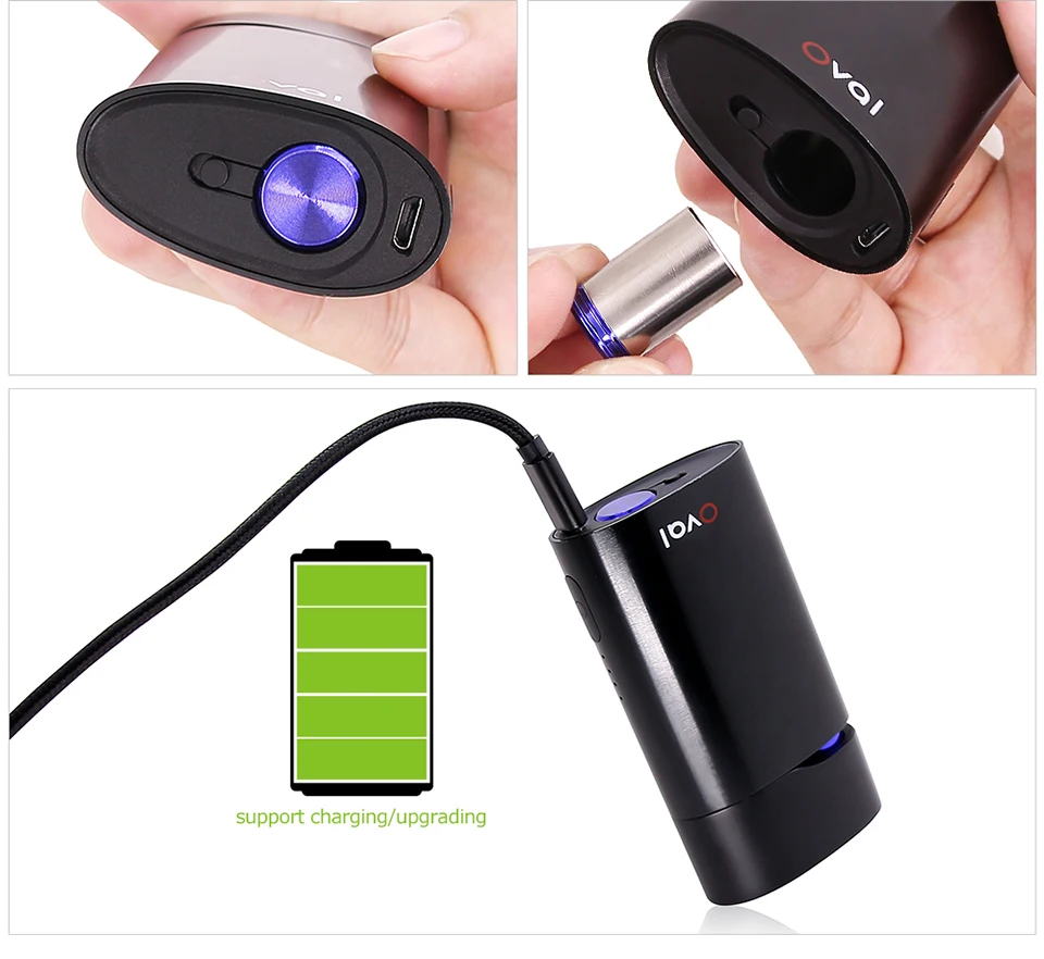 Kingtons oval vaporizer electronic cigarette for dry herb wax All-in-one kit (8)