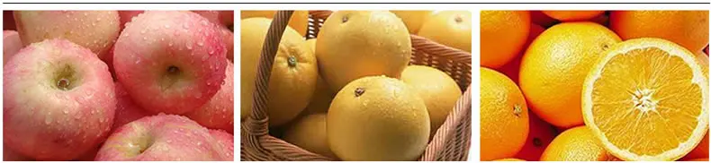 Нож для яблок из нержавеющей стали Corer Овощечистка оранжевый лимон картофеля слайсер бытовые кухонные принадлежности, фрукты разветвители 12 Сетки