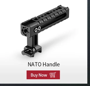 31955