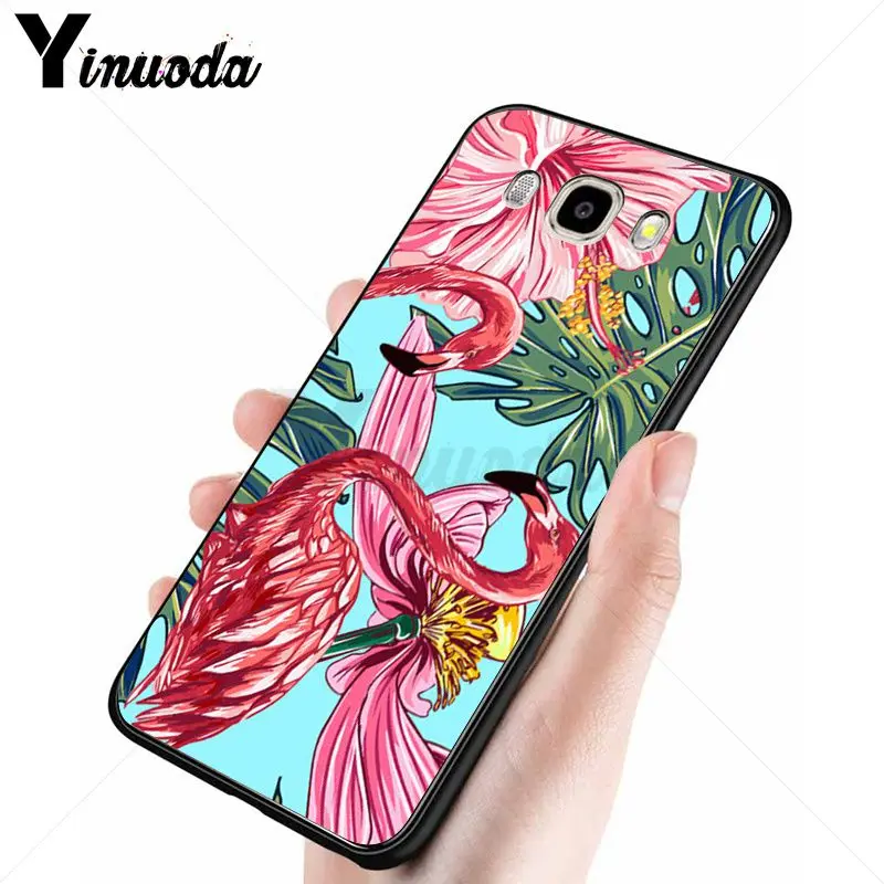 red summer animal flamingo