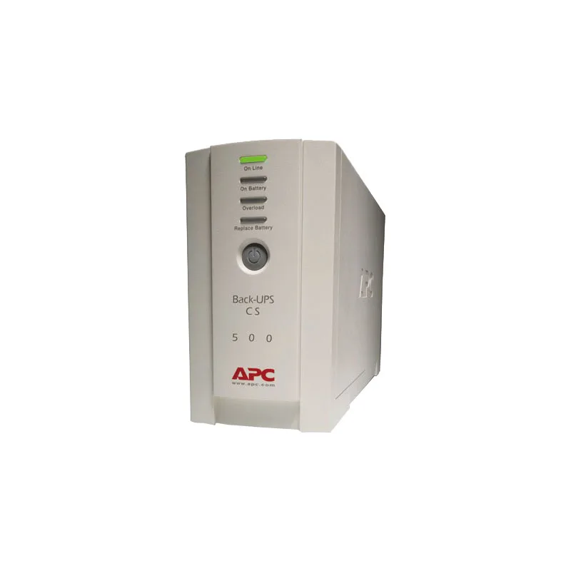 

Источник бесперебойного питания APC Back-UPS BK500EI