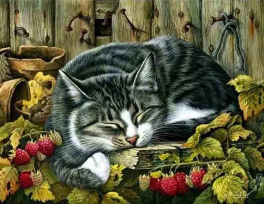 diamond picture,cross stitch cat,5d rhinestone art,5d diamond,diamond painting picture