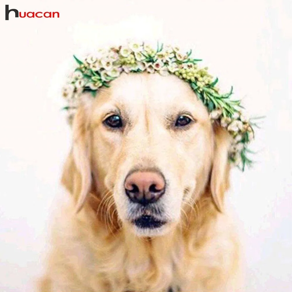 

Huacan 5D DIY Diamond Painting Full Square Drill Animal Diamond Embroidery Cross Stitch Dog Rhinestones Mosaic Kit Home Decor