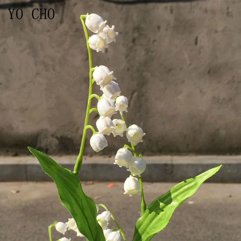 Y12
