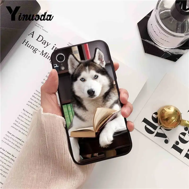 Animal Husky cute Puppy Dog