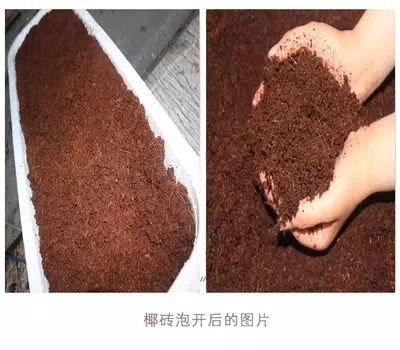 

Organic aseptic coconut brick nutrient soil, coconut powder lightweight planting base Compressed soil 650g =7L soil
