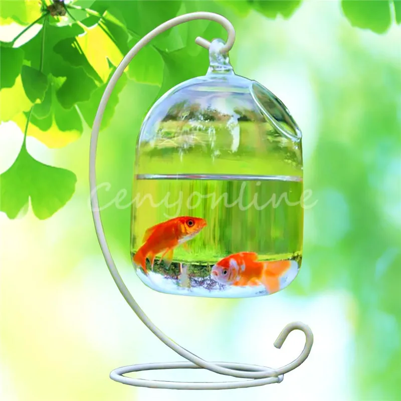 Gallon Glass Container Gallon Glass Container