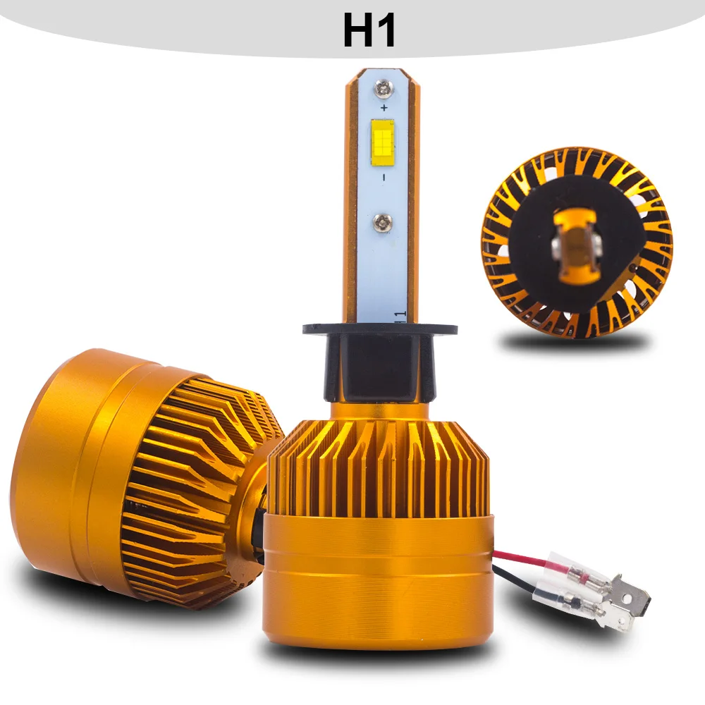 H1 