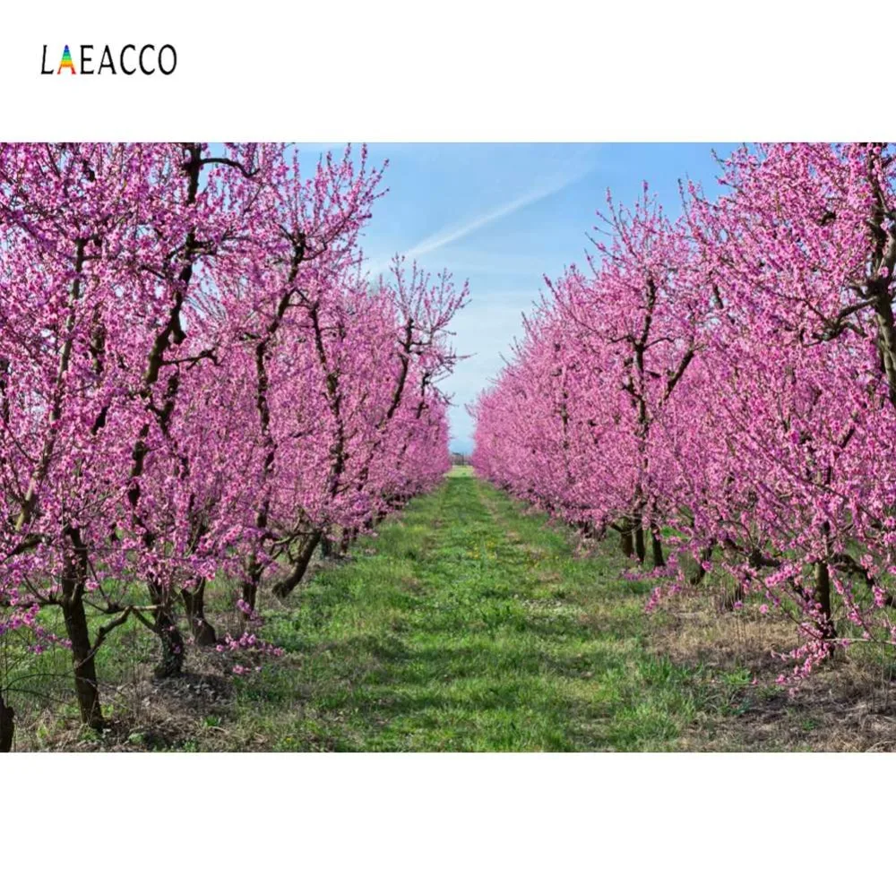 Laeacco фотофоны розовое освещение для деревьев весенний фон фотосъемки с