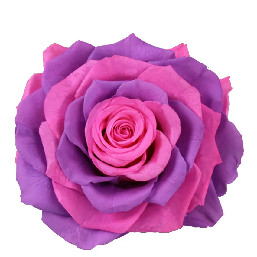 

DIY Preserved Fresh Giant Double Color Flowers Artificial Rainbow Rose Flower for Christmas Present Venue Home Weddings Decor
