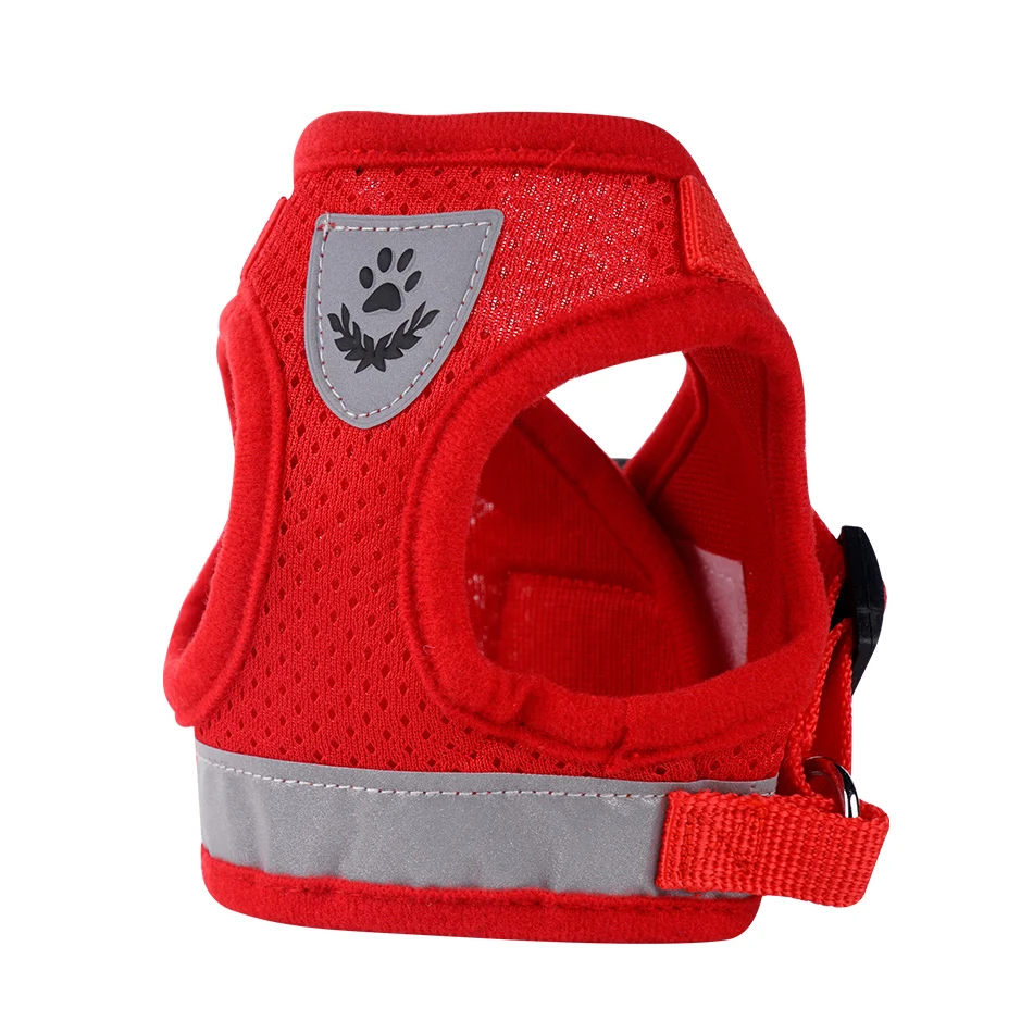 pet leash and leash