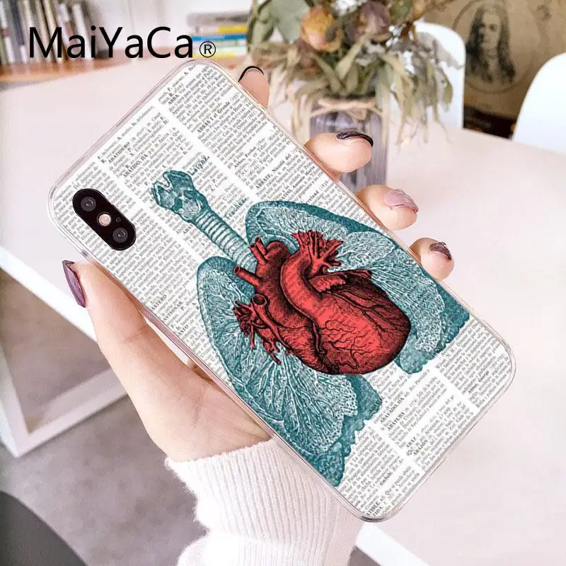 Medical Human Organs Brain Meridian (12)