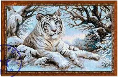 cs1057 Riolis-1184        236X156X17
