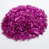 New Fashion colour Cat  Nail Caps soft cat  Claw  Soft Paws100PCS/lot with free Adhesive Glue Size XS S M LGift for pet 6