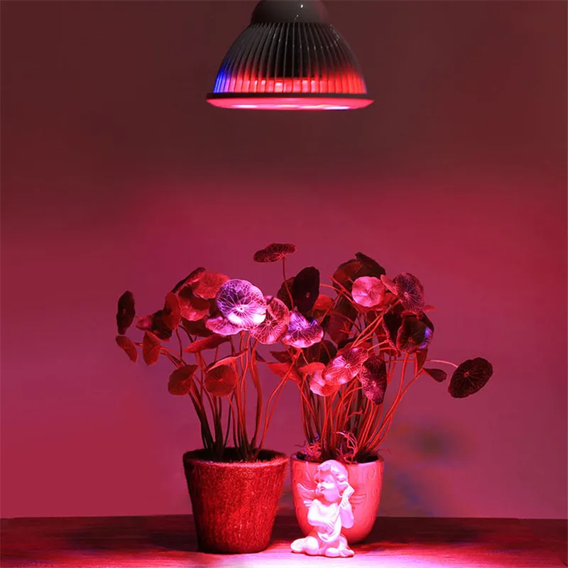 

E27 12W/24W Led Grow Bulb Plant Light 12LEDs Full Spectrum Plant Lamp Growing Plant Lamp For Indoor Garden Flower