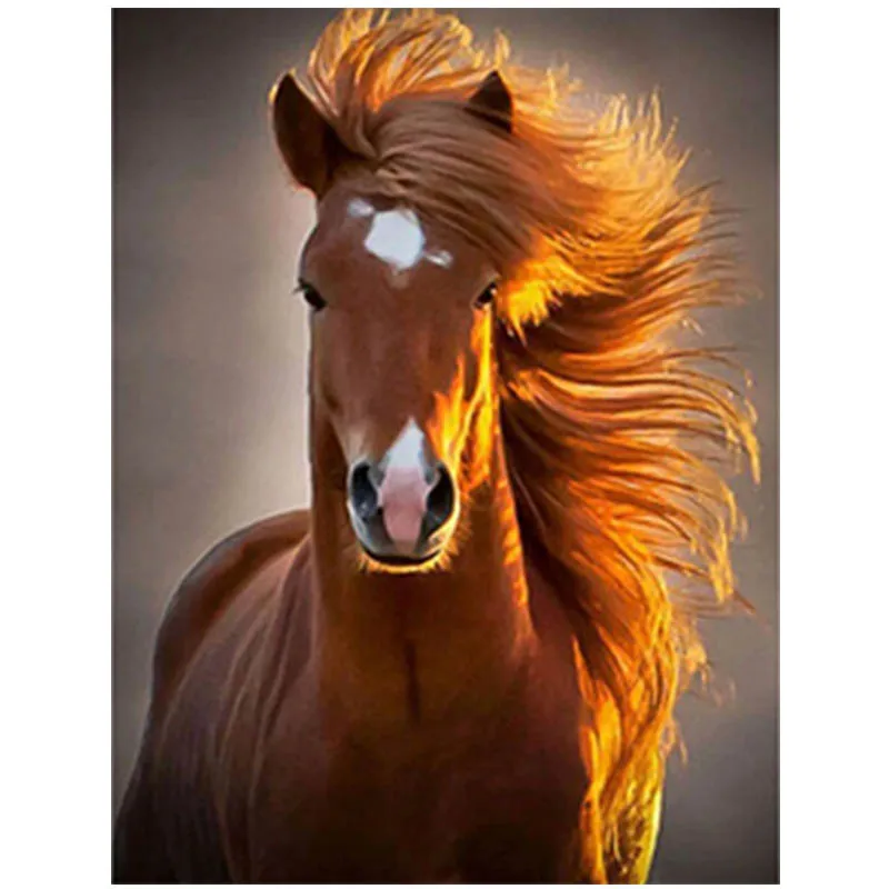

5D DIY Diamond Painting Full Square/Round Drill "horse" Diamond Embroidery Cross Stitch 5D diamond painting accessories A69