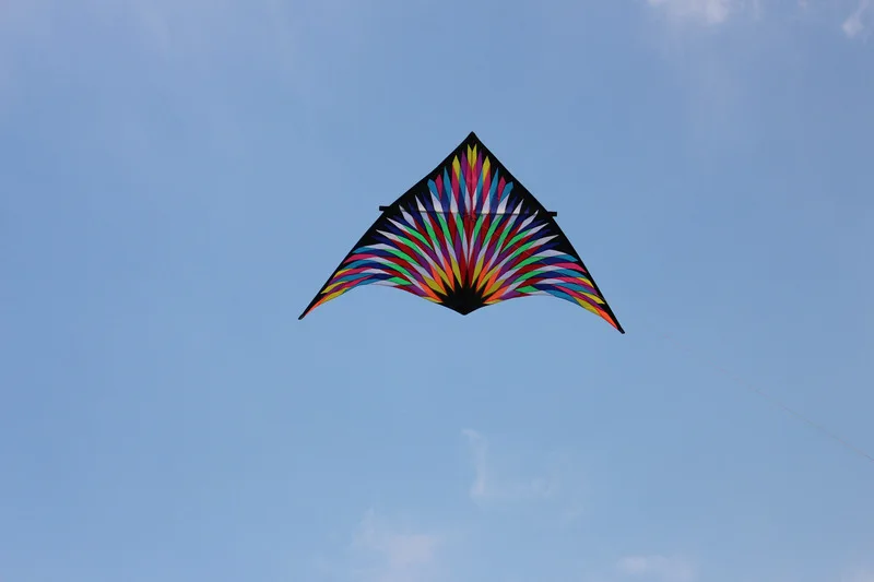 3808990818_1258532884