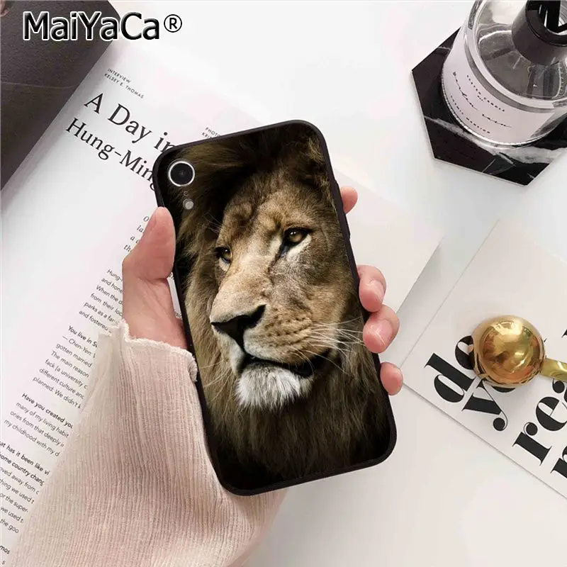 Animals Lion Wolf Owl Elephant Lion Tiger