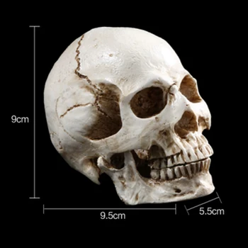

High Quality Hot Sale Gag Toys Prop Skeleton 3D Shape Resin Divided For Halloween Supplies DIY Party Haunted Skulls House Decor
