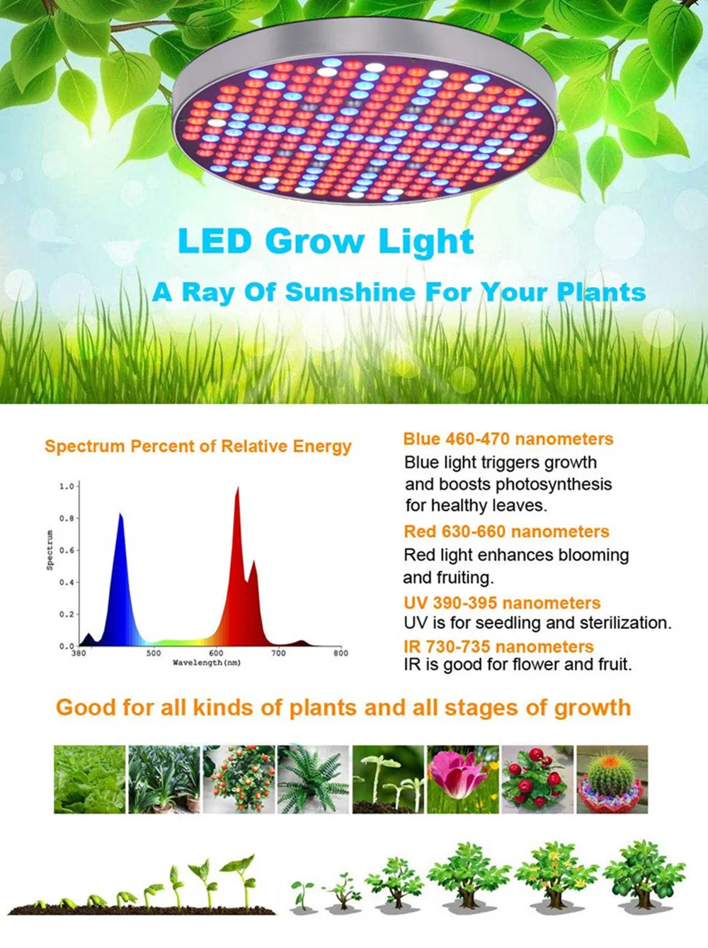 led grow lights  (2)