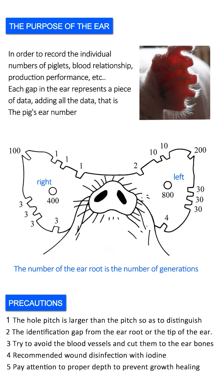 ear hole forceps_8