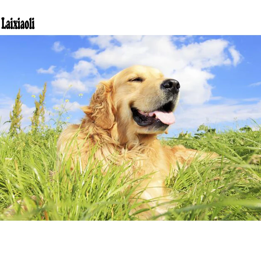 

Diamond painting golden retriever Full Square 5D DIY diamond Embroidery Cross Stitch round Rhinestone diamond dog Animal picture