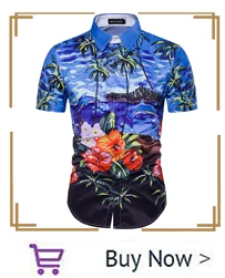 hawaiian_05