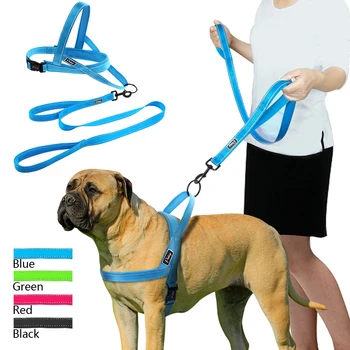 Dog Harness Leash