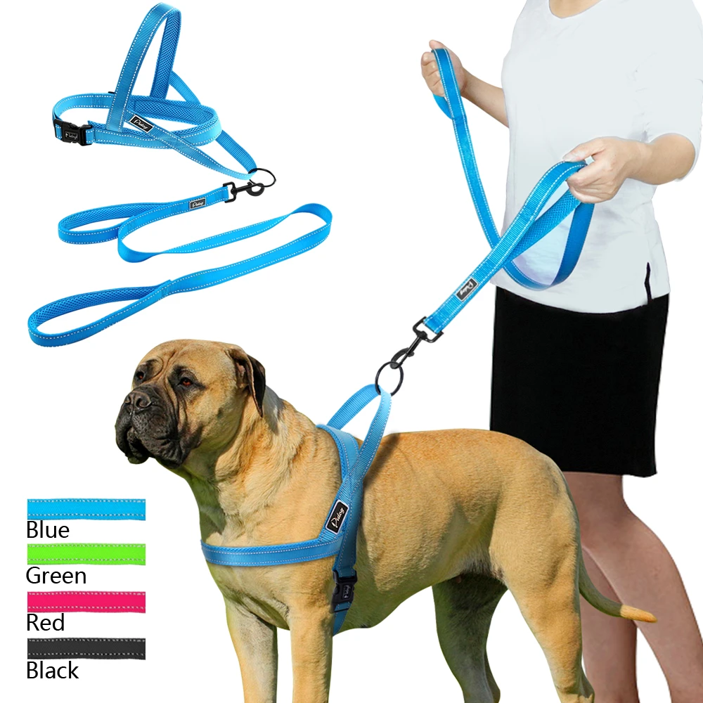 Collar and Lead Black Reflective Dog Harness Blue & Red Small! Collar and Lead Black Reflective Dog Harness Blue & Red Small!