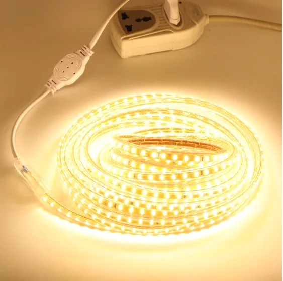 

SMD3014 Strip Led Light AC220V 120led/M Garland Tape IP67 Waterproof LED Light Strip +EU Plug Outdoor Led Strip Light