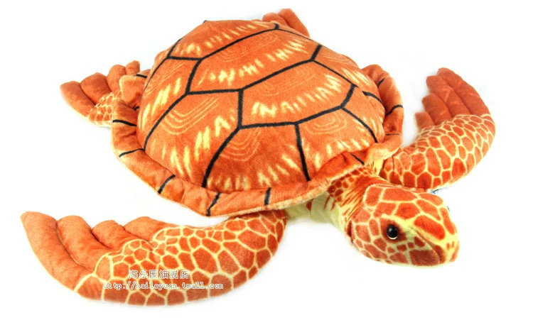 My turtle store coupon code