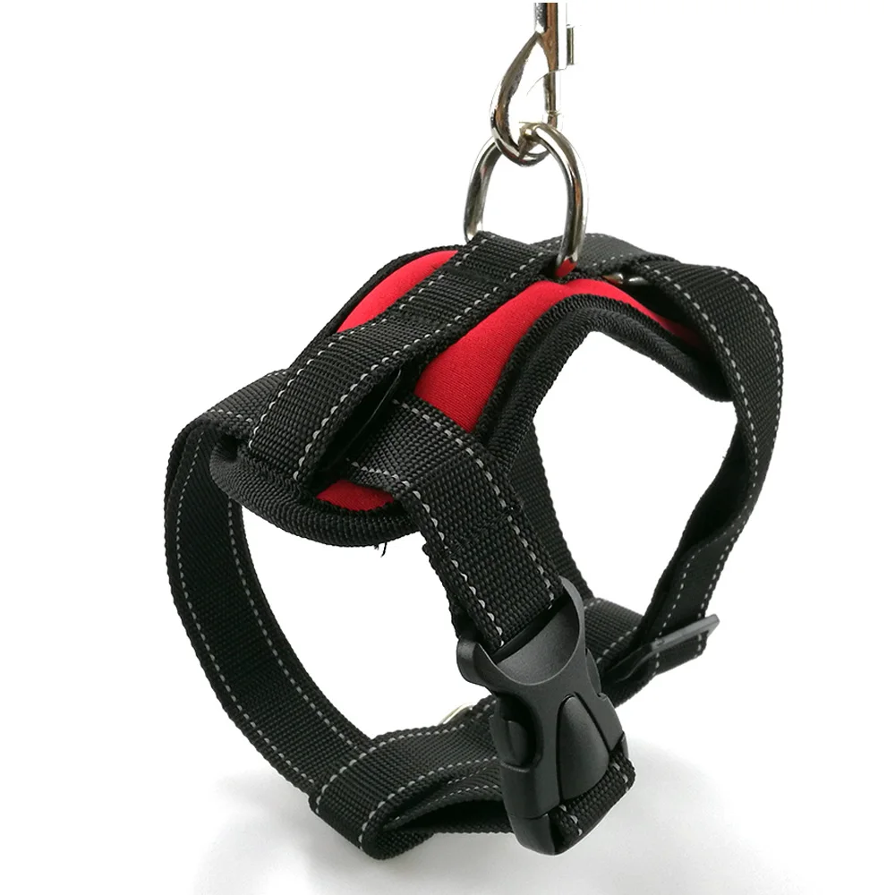 PY0023 red