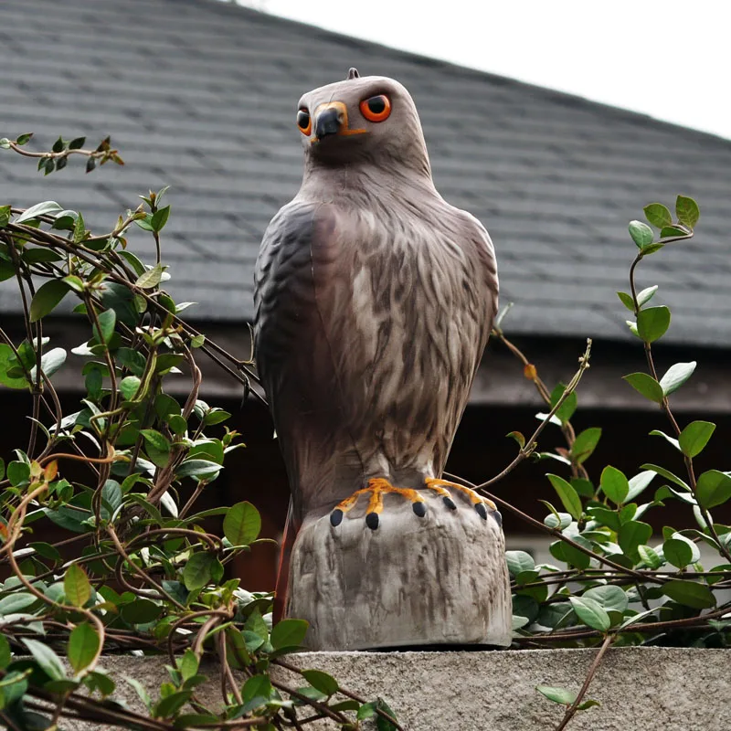 plastic hawk hunting decoys