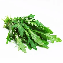 Rocket Salad Seed 100 Seeds Of Each Pack Eruca Sativa Rucola Arugula Vegetable Garden Seeds Hot D021