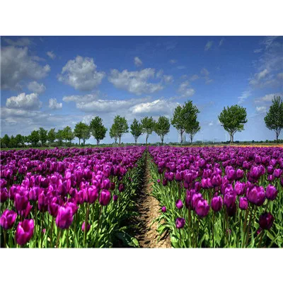 

YIKEE Landscape Flower Diamond Painting Handmade Needlework DIY Diamond Embroidery Mosaic Rhinestone Picture y1164
