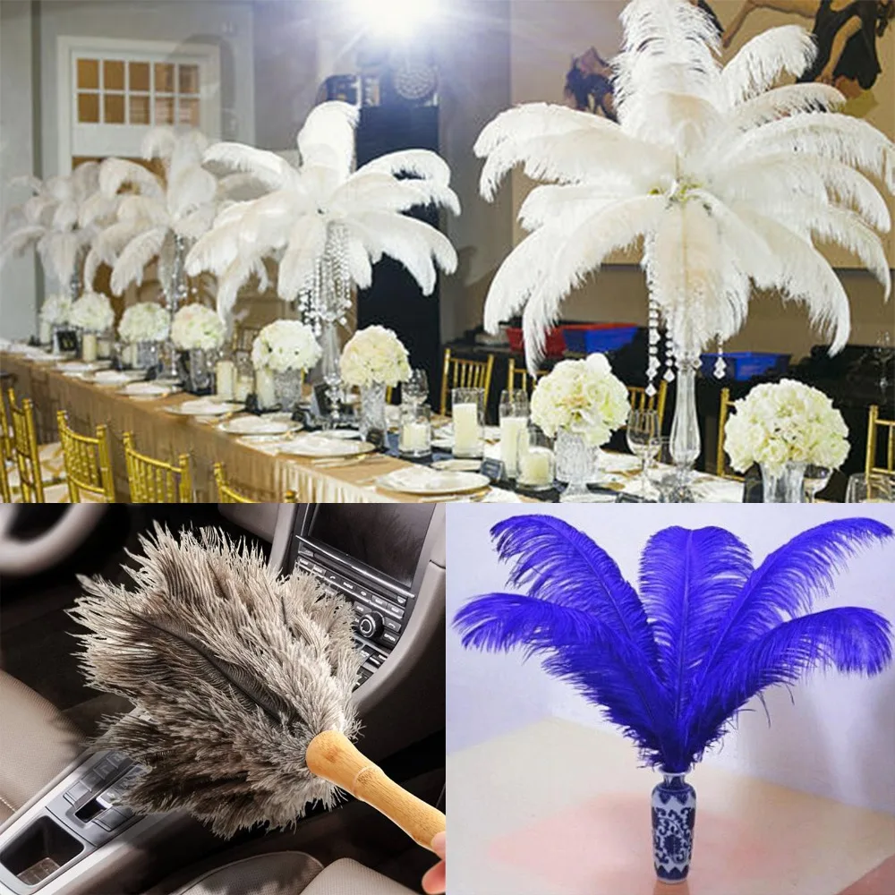 

5pcs/lot Elegant 6 color ostrich feathers 25-30cm for craft wedding party supplies Carnival dancer decoration plumages Choose