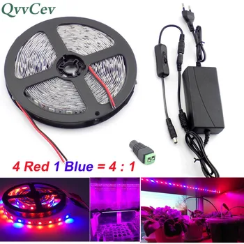 

Waterproof Plants Grow Led Strip Light 4 Red 1 Blue lights 1M 2M 5M flower Lamp indoor greenhouse + DC12V 1A/2A/3A Power adapter