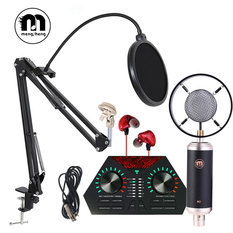 

BM800-M2 Professional Microphone Condenser Microphone for Video Recording Radio Studio Microphone for Computer with Shock Mount