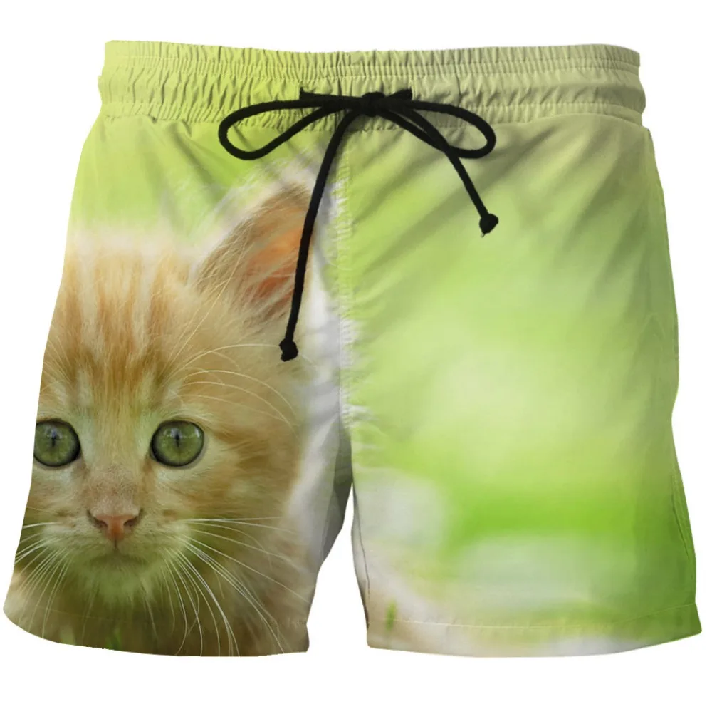 Летние мужские пляжные шорты для водных видов спорта, штаны с милым рисунком кота, галактика, S-6XL, шорты для бега, быстросохнущие, размера плюс, для плавания, серфинга