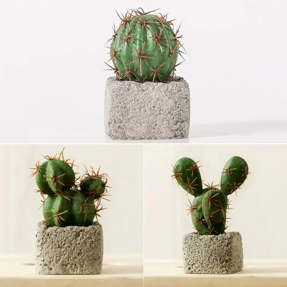 Мини Кактусы В Горшках Купить
