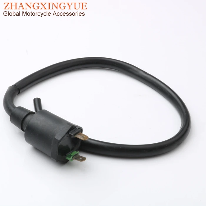 zhang1200054