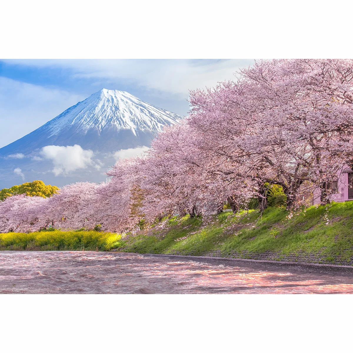 Фон Funnytree для фотосъемки с креплением Fuji nature вишневый цвет река фон