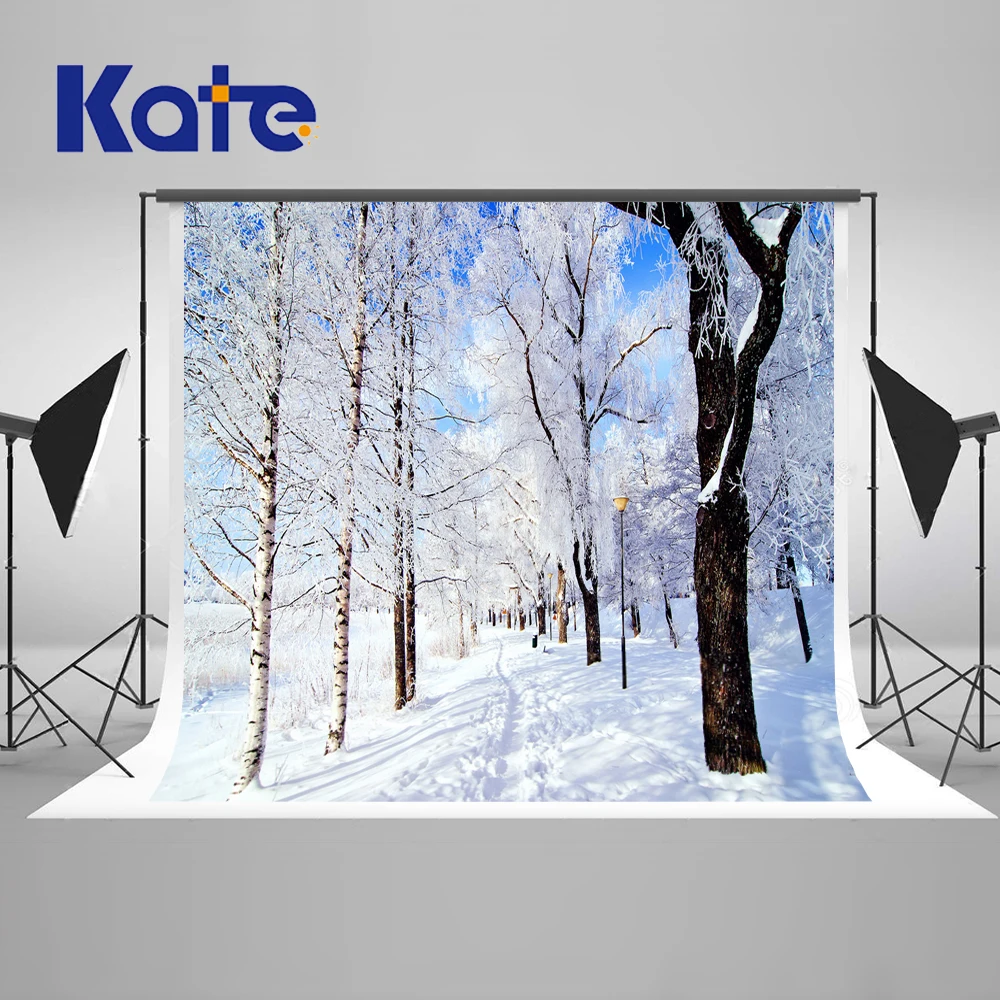 Aliexpress.com : Buy Kate Winter Frozen Photography Backdrops Trees