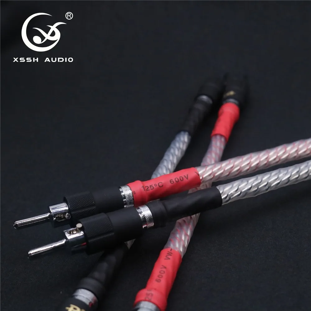 bi wire 03