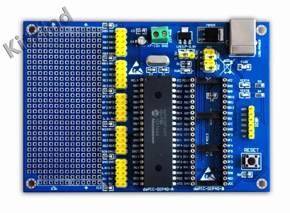 PIC dsPIC learning development board ReadydsPIC 40P with dsPIC30F3011 ...